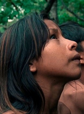 La Fleur de Buriti